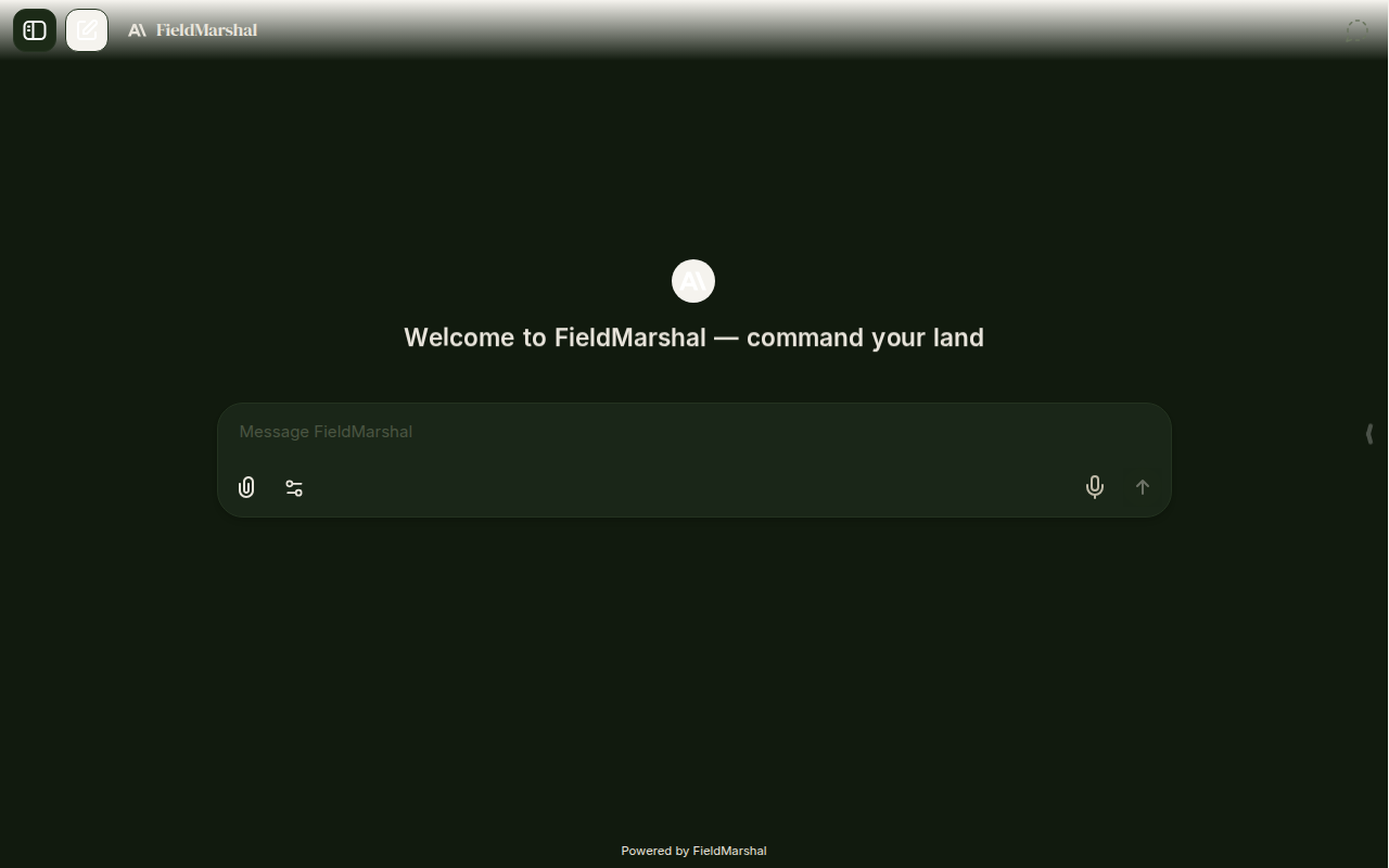 FieldMarshal chat interface